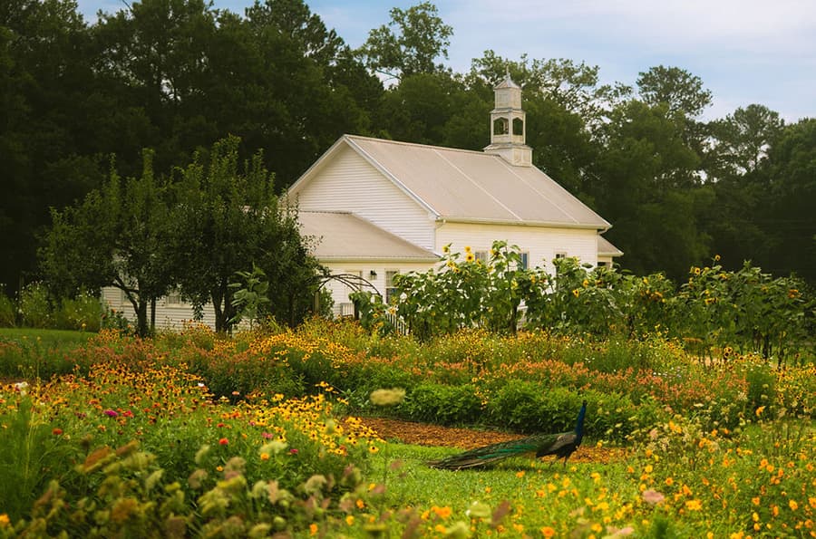 A white building surrounded by vibrant flower gardens and greenery.
