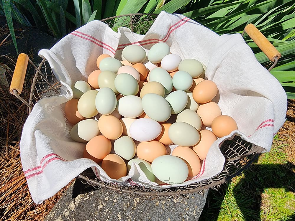 A wire basket filled with a variety of colored eggs resting on a linen cloth.