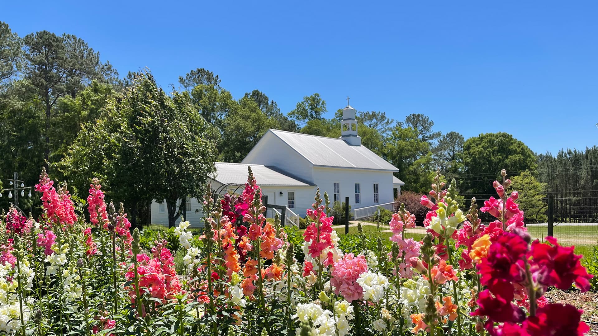 A white church surrounded by vibrant flowers under a clear blue sky.