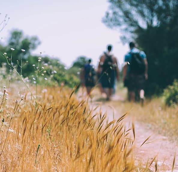 A group of people walks along a dirt path surrounded by tall grass and wildflowers.