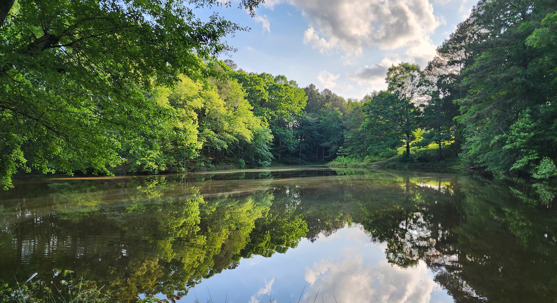 A serene lake surrounded by lush green trees reflecting the blue sky and fluffy clouds.