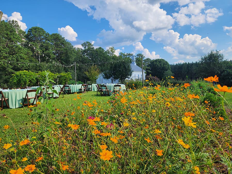 A vibrant garden with orange flowers in the foreground and a tented event space under a blue sky in the background.
